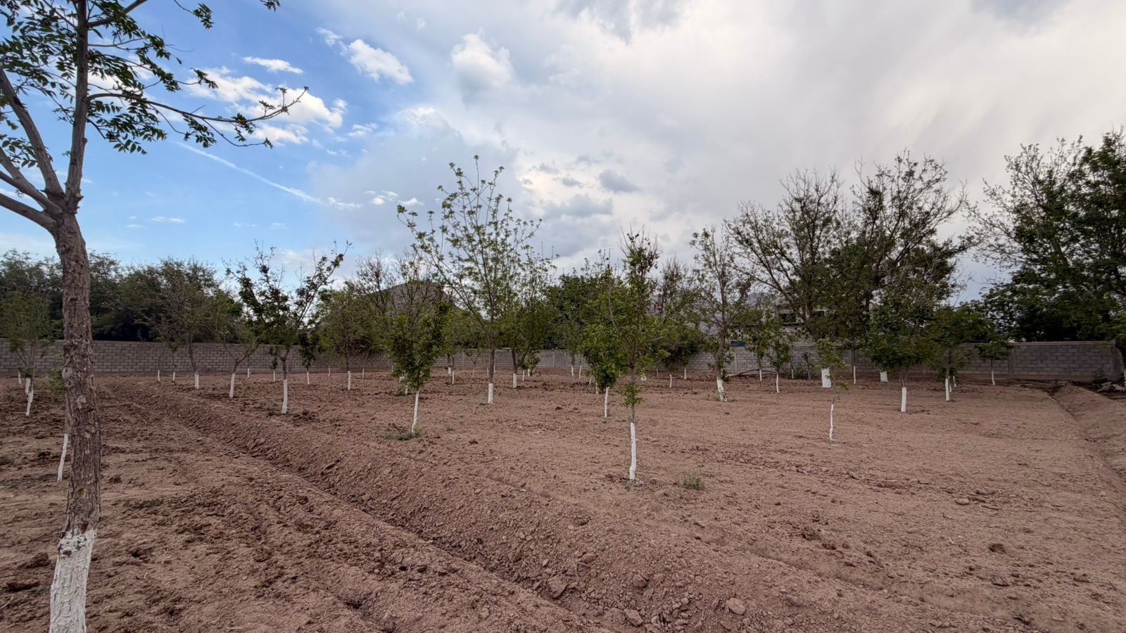 Huerta de Nogales